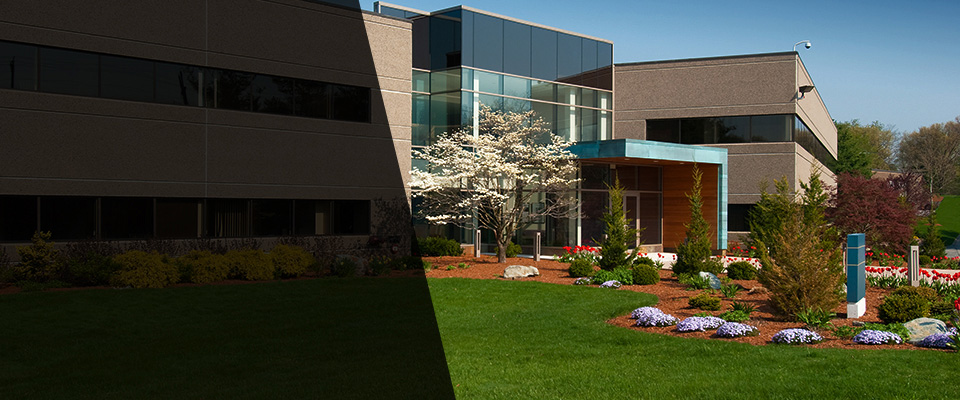 American Canyon Landscapers