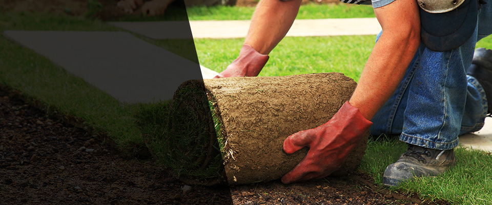 American Canyon Landscapers